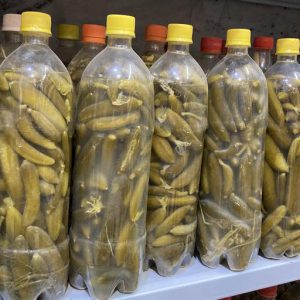 pickled cucumber in the bottle